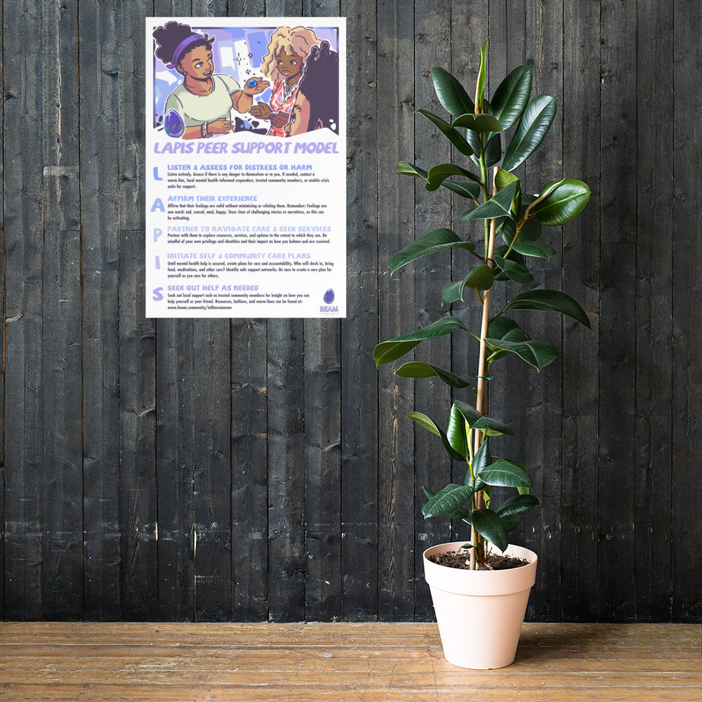 LAPIS Peer Support Model (New Design)